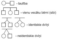 ciltskoki